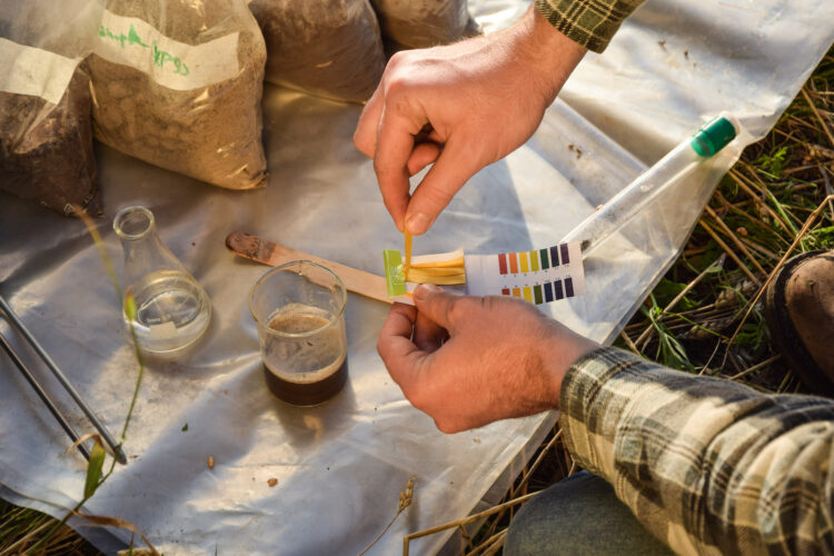How To Improve Soil For Gardening